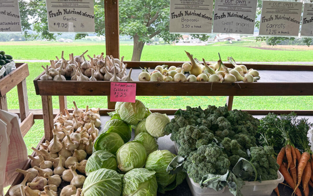 Chub Run Chemical Free Organic Produce Mill Hall PA Various fresh vegetables, including garlic, cabbage, broccoli, onions, and carrots, are displayed on shelves at a farm stand with handwritten price signs above them.