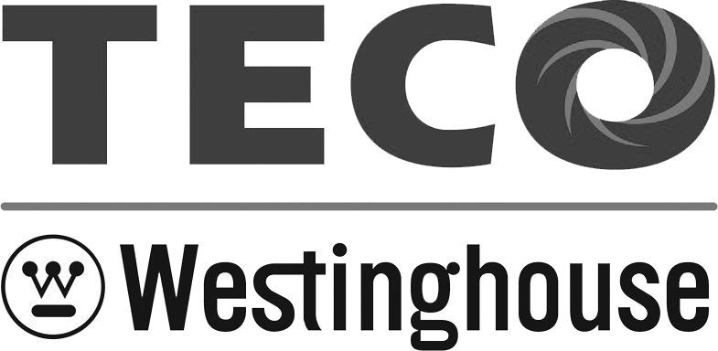TECO-Westinghouse logo featuring bold "TECO" text, a stylized circular graphic in the "O," and "Westinghouse" with its emblem below.