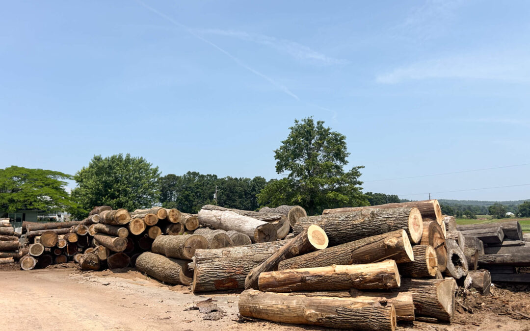 Leinbach's Sawmill Lumber Lancaster, PA Large piles of cut tree logs are stacked outdoors on a dirt ground, with trees and a clear blue sky in the background.