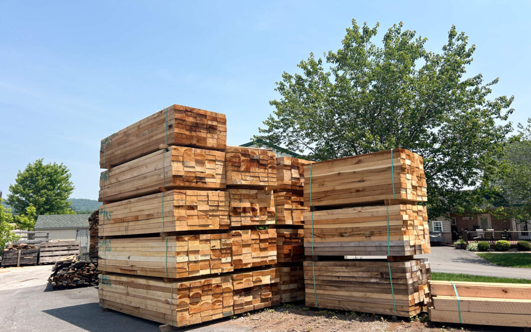 Leinbach's Sawmill Lumber Lancaster, PA Stacks of cut wooden planks are piled outdoors on a paved surface, secured with green straps, with trees and buildings visible in the background.