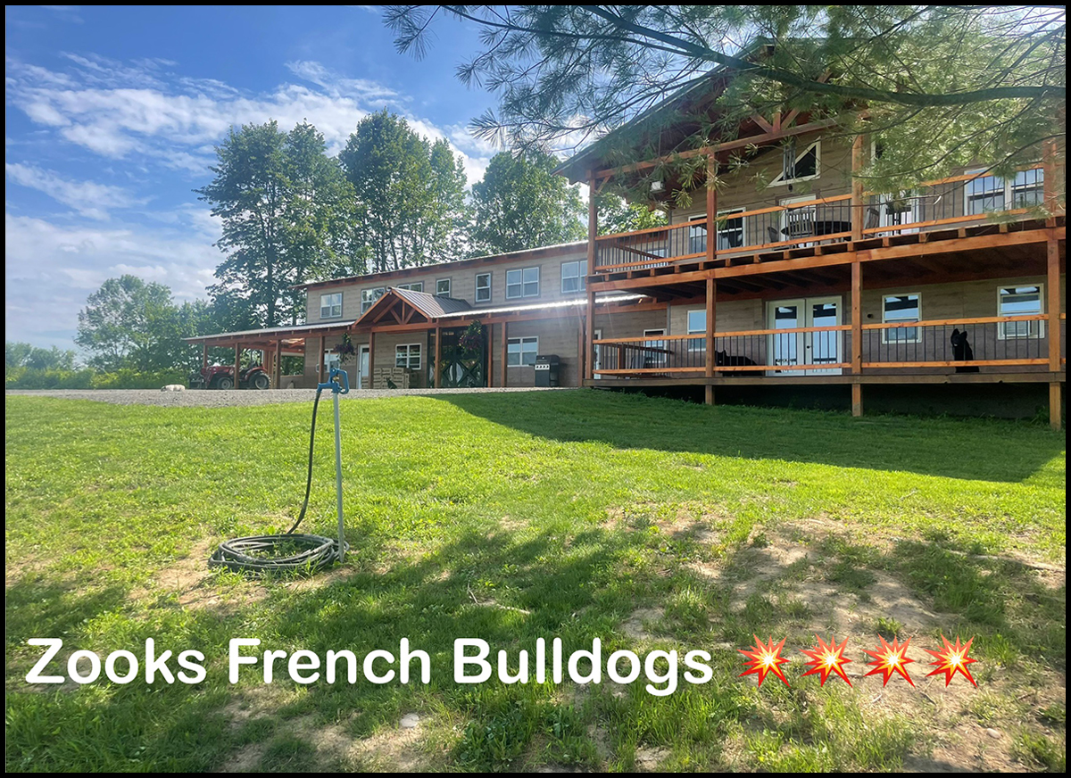 7.31.25 Zook's French Bulldog JPB Vendor Graphic Right A large two-story wooden building with balconies sits on a grassy lawn under sunny skies. Text reads “Zooks French Bulldogs” with four explosion emojis.