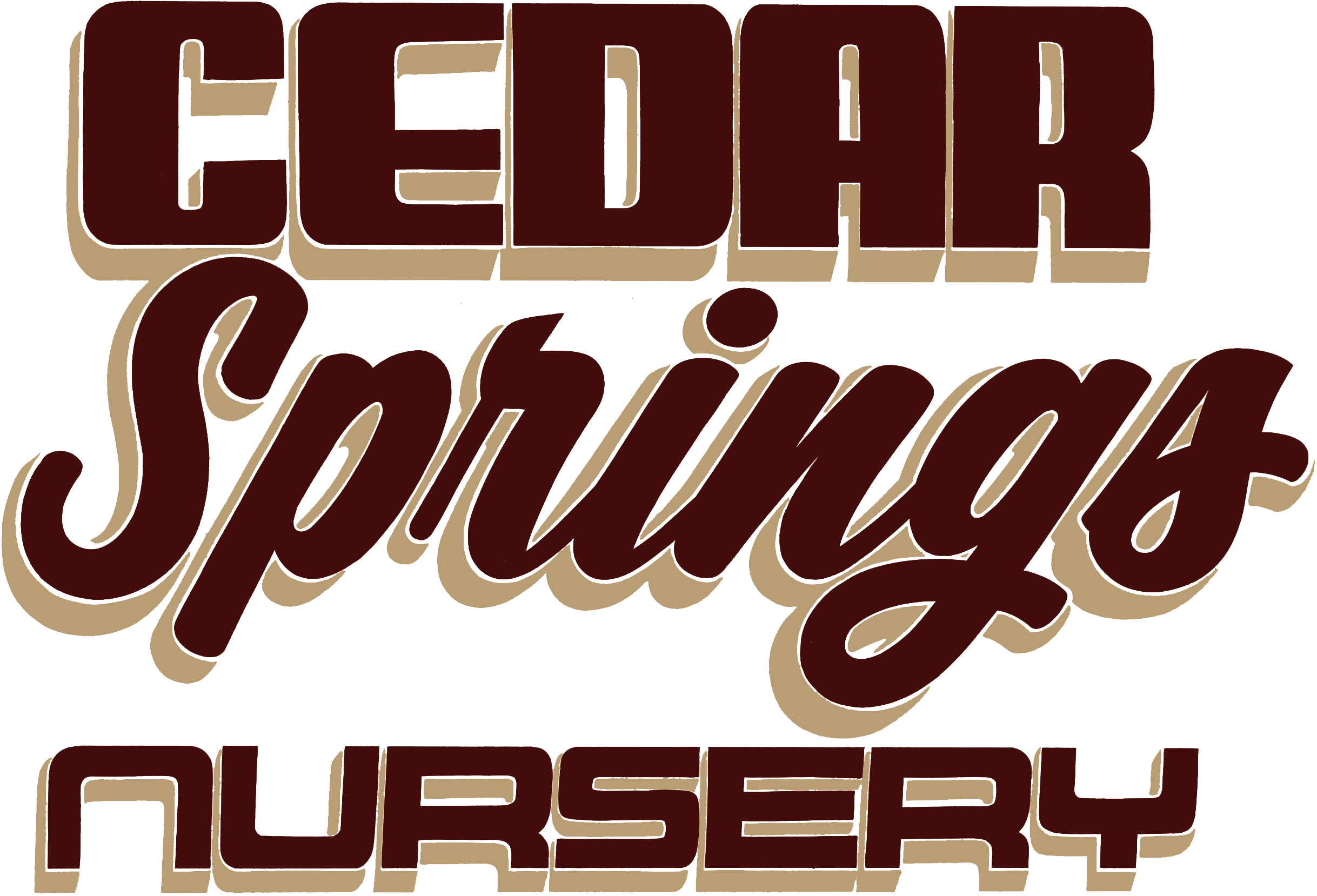 Logo with bold, stylized text reading "Cedar Springs Nursery" in brown and tan with block and script fonts.