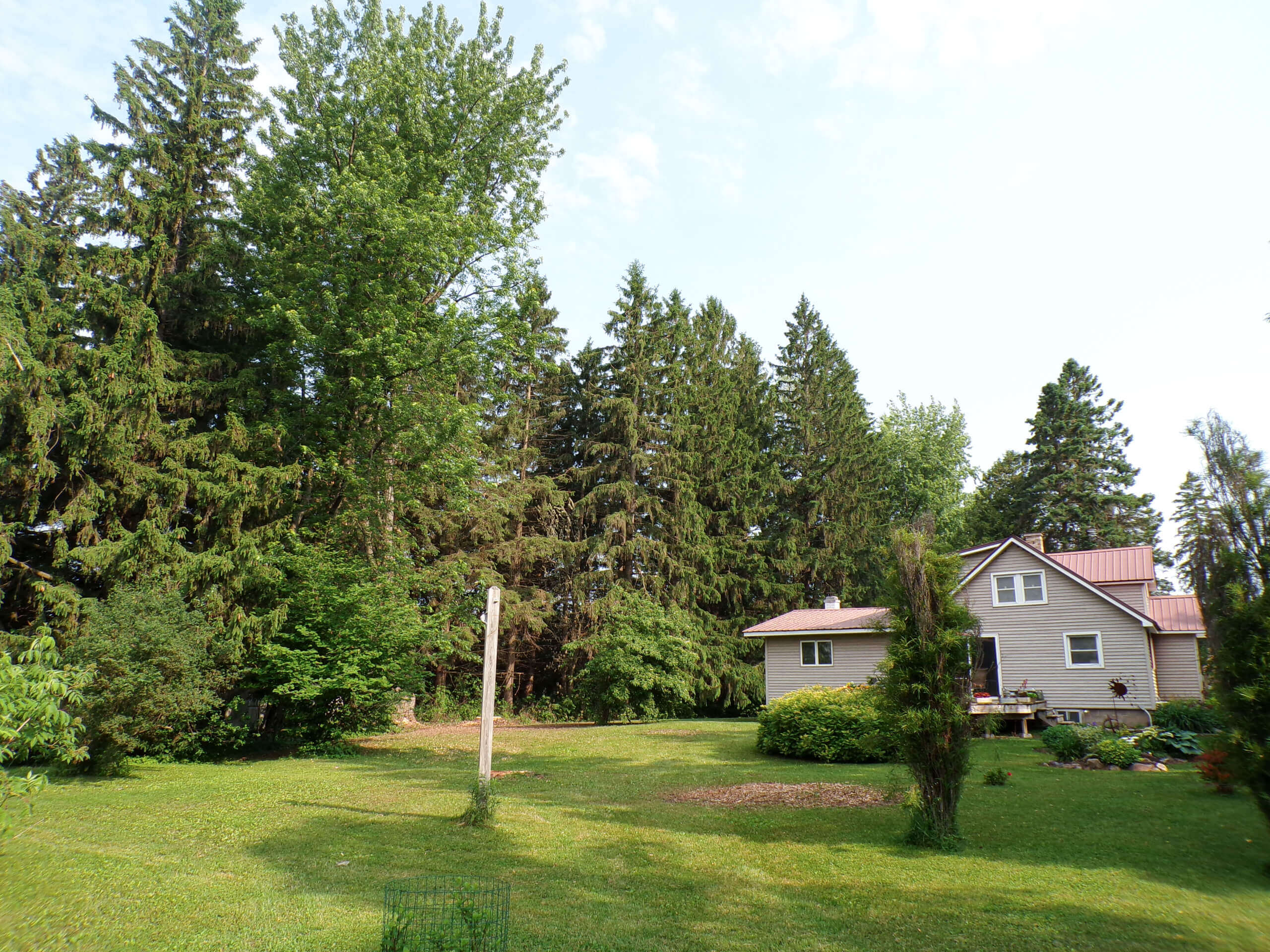A beige house with a red roof sits beside a large grassy yard, surrounded by tall evergreen trees under a partly cloudy sky.