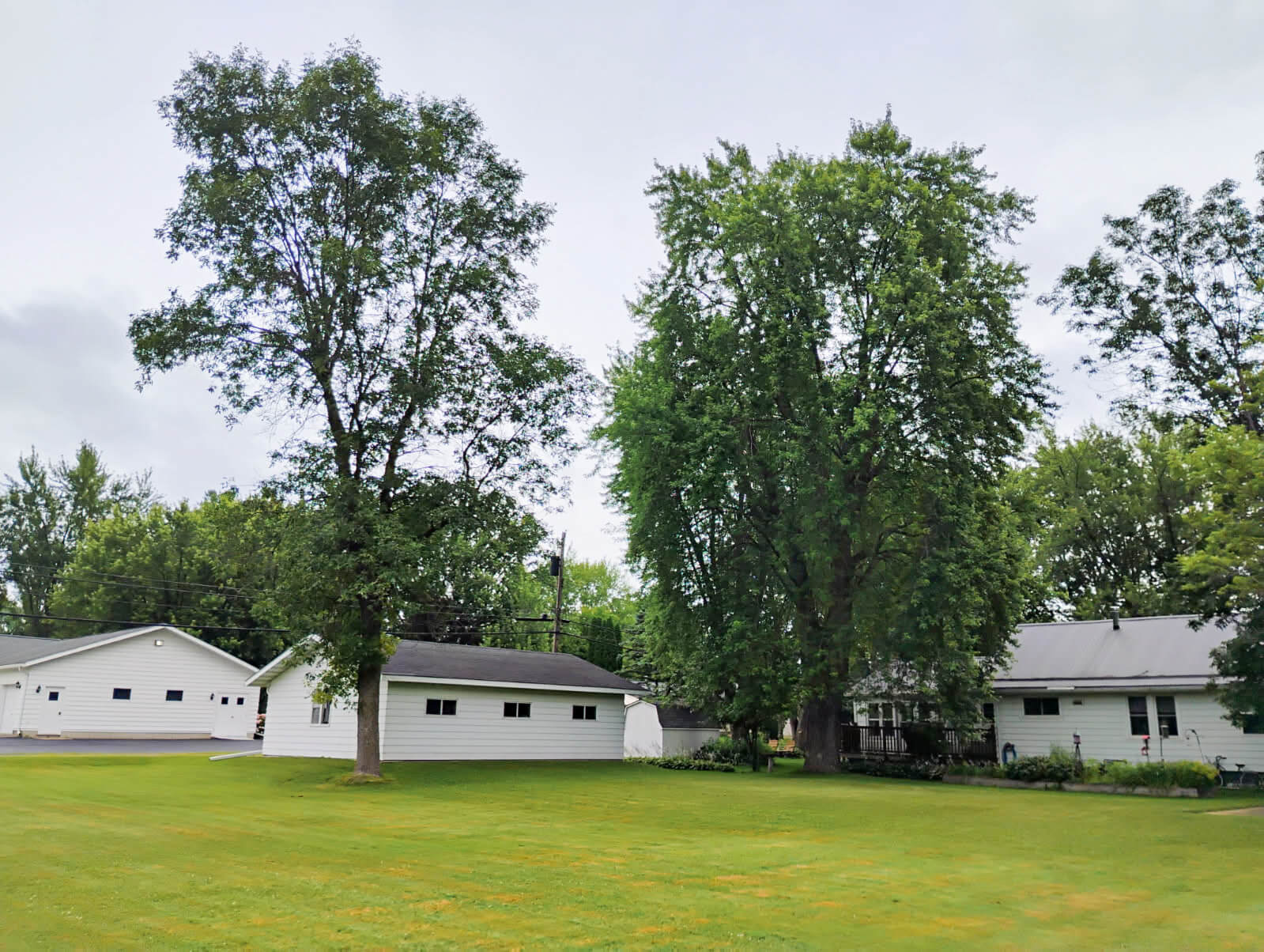 A large grassy yard with tall leafy trees, a white house, and a detached garage on a cloudy day.