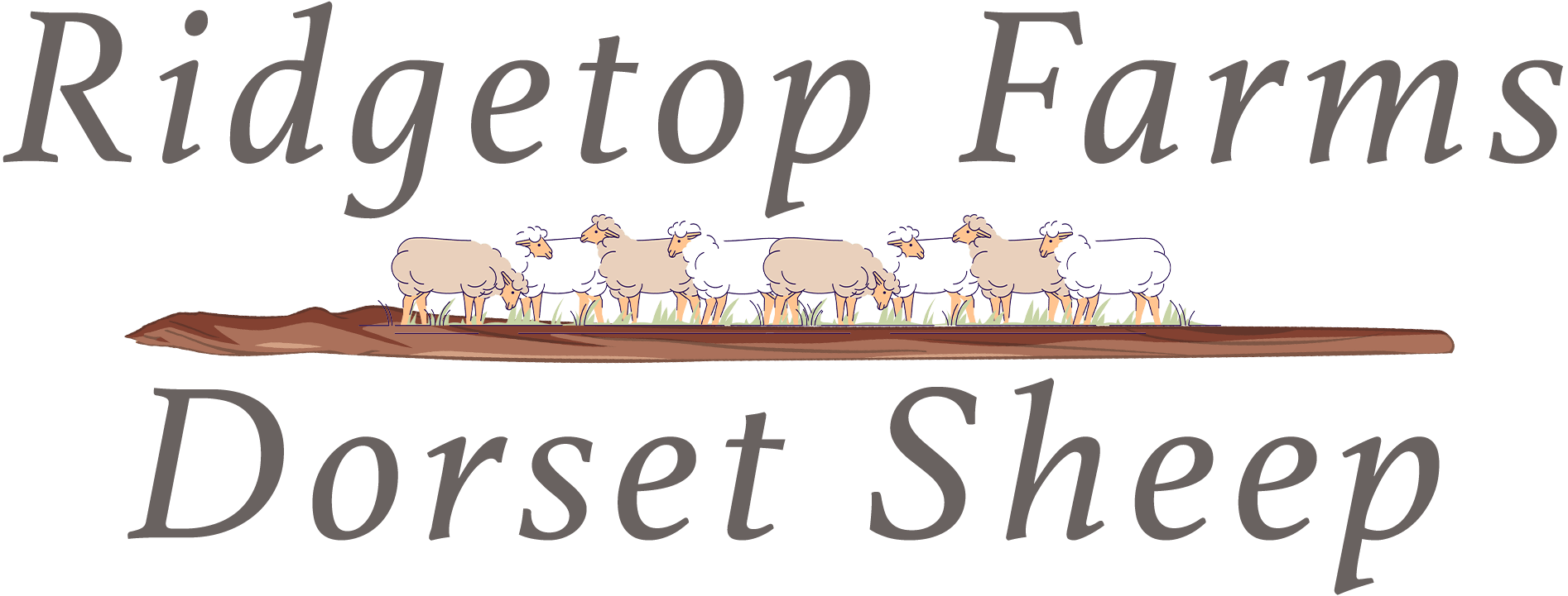 Logo with the words "Ridgetop Farms Dorset Sheep" and an illustration of six sheep standing on grass in the center.
