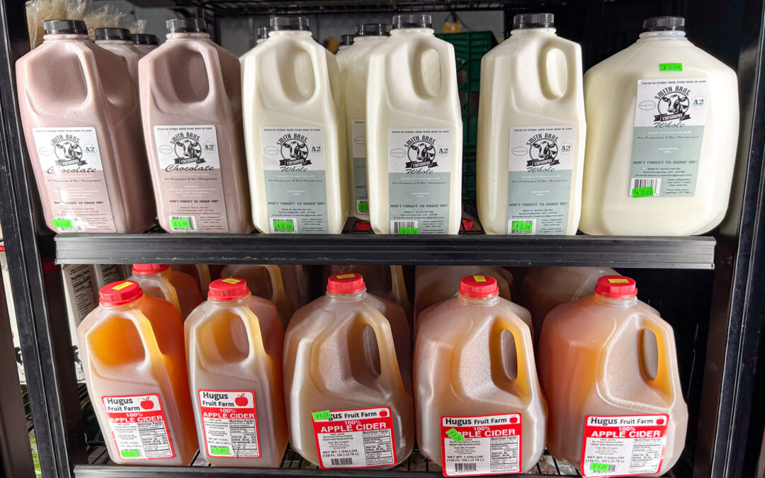 Millcreek Market Junction City Ohio Gallon jugs of chocolate milk, whole milk, and apple cider are displayed on metal shelves in a refrigerated section, each with green price stickers.