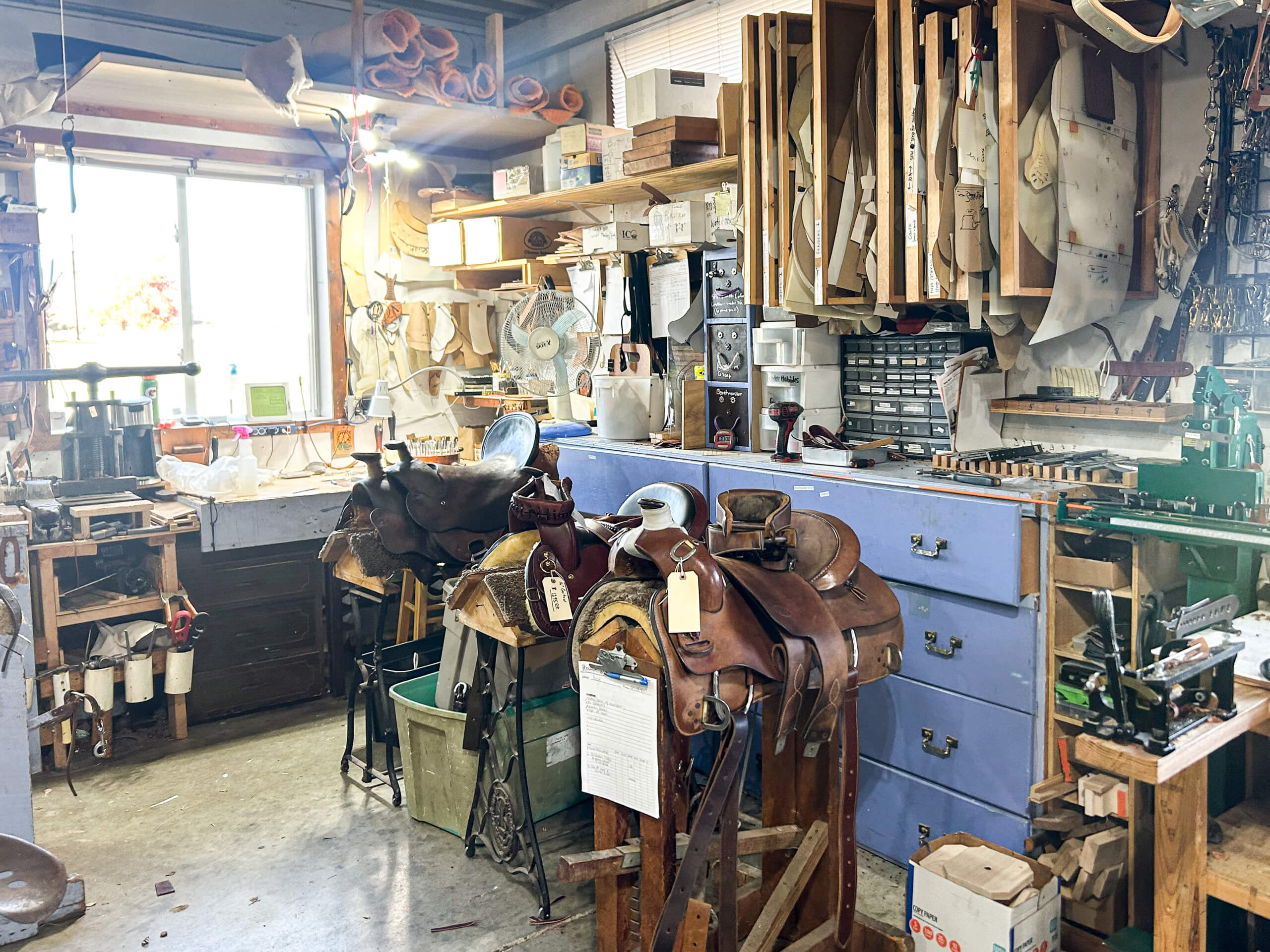 Miller's Saddlery Goshen IN A workshop with leather saddles in progress, tools, patterns, and supplies organized on shelves and drawers, bathed in daylight from a window.