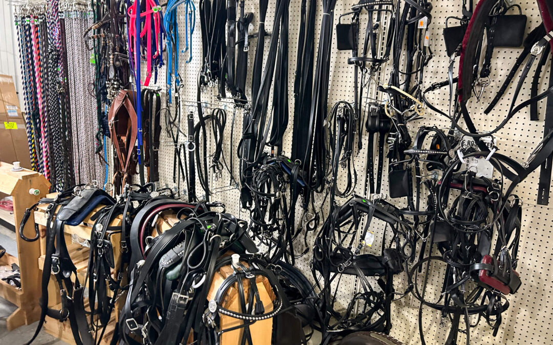 Shetler's Supplies Hardware Variety Bulk Foods Greenville PA Various horse bridles, reins, saddles, and tack are neatly hung and displayed on a pegboard wall inside a tack shop.
