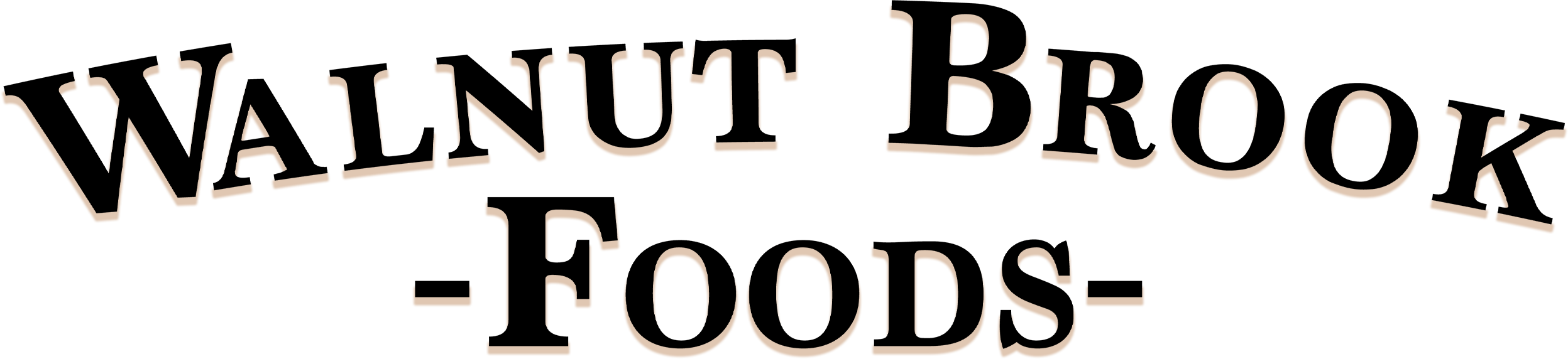 The image displays the words "Walnut Brook Foods" in large, bold, black, arched letters with a shadow effect on a plain background.