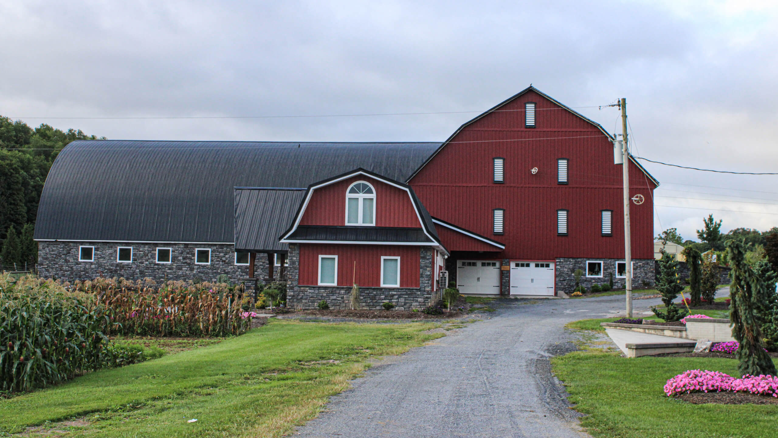 3.4.26 Dave's Metal Roofing Gallery 2 A large red barn with gray stone foundation sits beside a gravel driveway, surrounded by green grass, plants, and pink flowers under a cloudy sky.