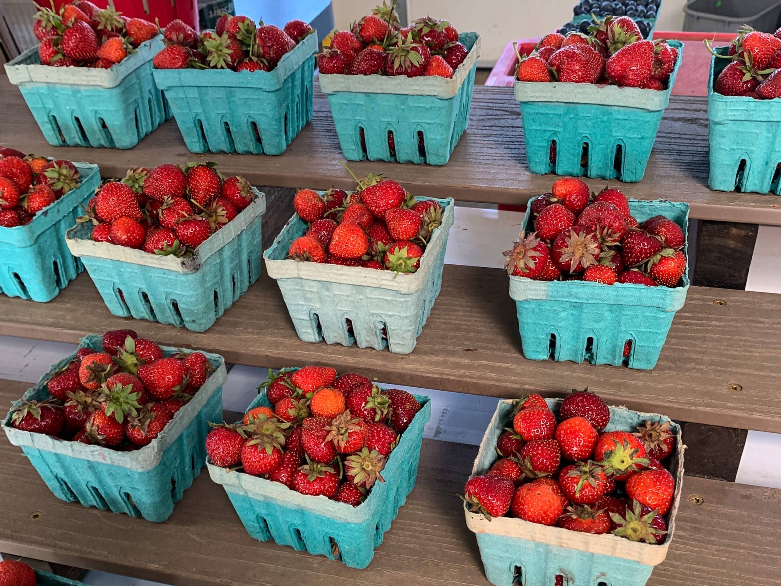Maple Arch Farm Market Cochranville PA Several teal baskets filled with ripe red strawberries are arranged on wooden shelves at a market stand.