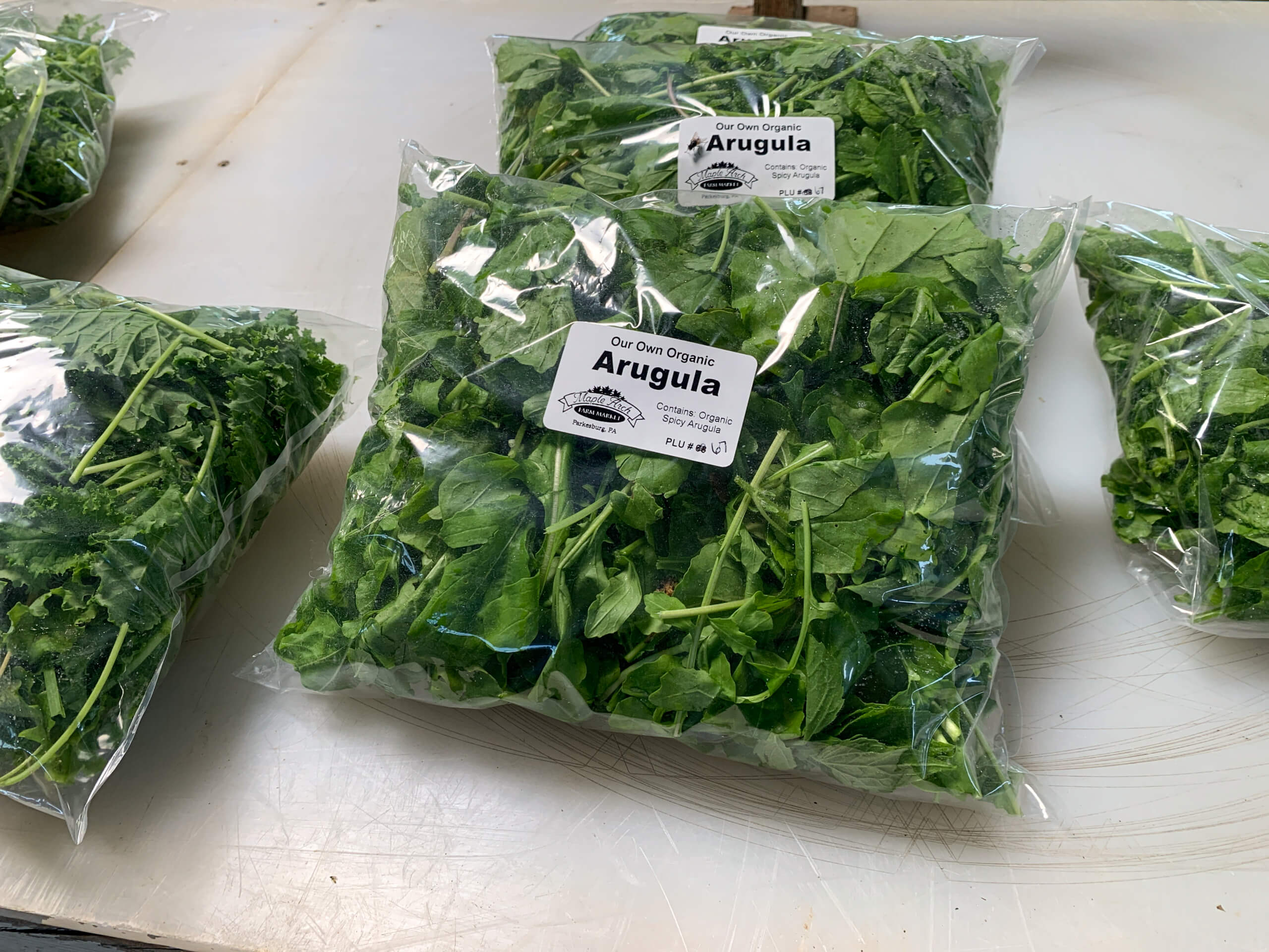 Maple Arch Farm Market Cochranville PA Several sealed plastic bags filled with organic arugula leaves are displayed on a white surface, each labeled “Our Own Organic Arugula” with farm information.