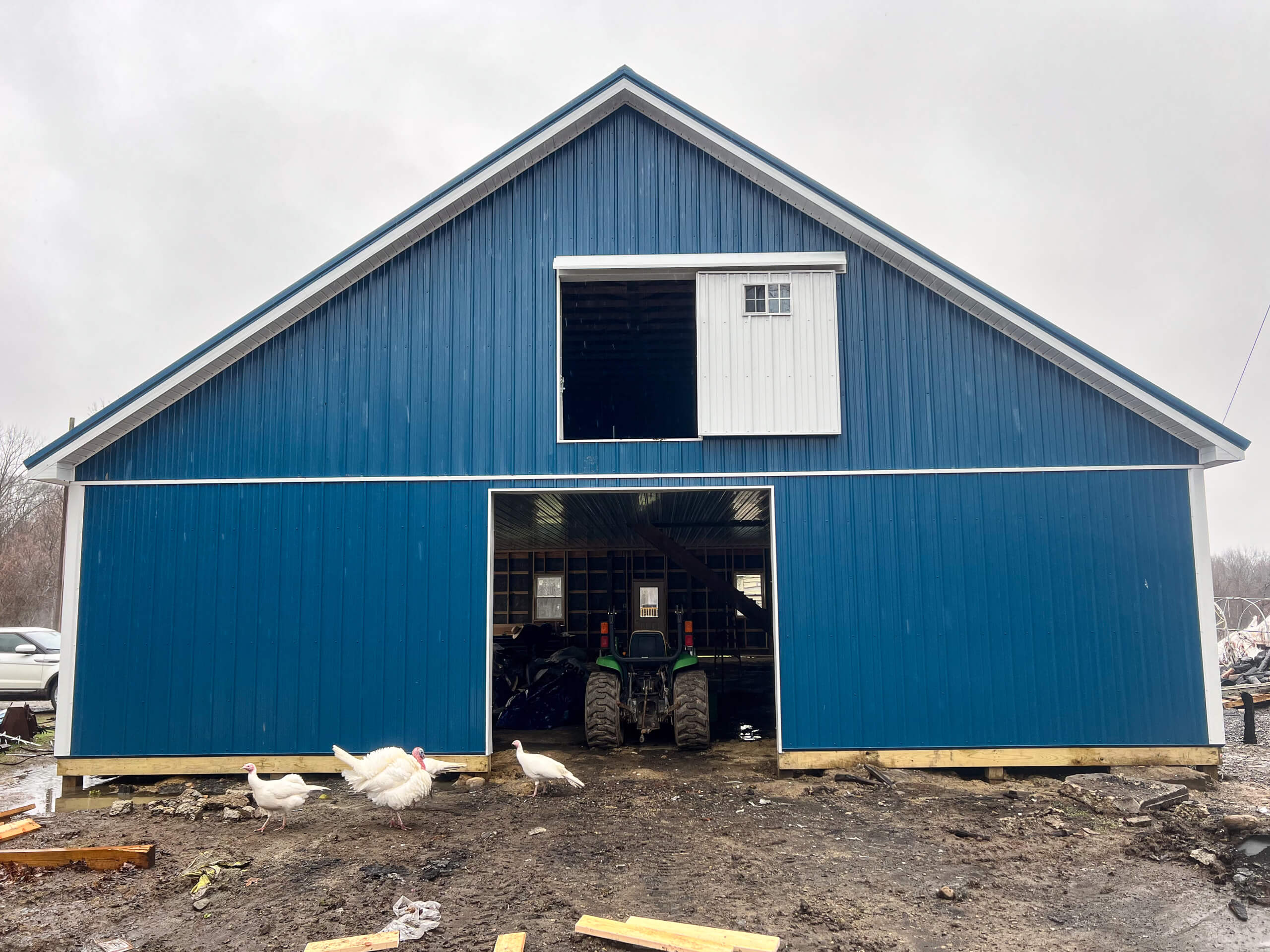 Crawford County Roofing Spartasburg PA A large blue barn with open doors reveals a tractor inside; four white ducks stand in front on muddy ground.