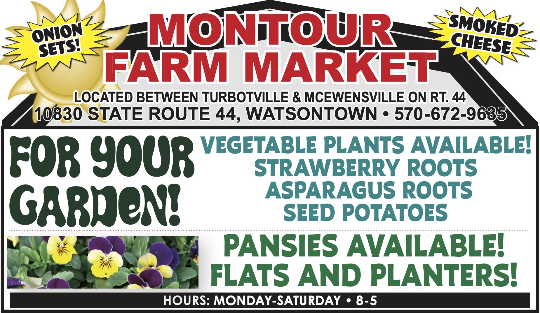 Montour Farm Market sign advertising onion sets, smoked cheese, vegetable plants, strawberry roots, asparagus roots, seed potatoes, and pansies in flats and planters.