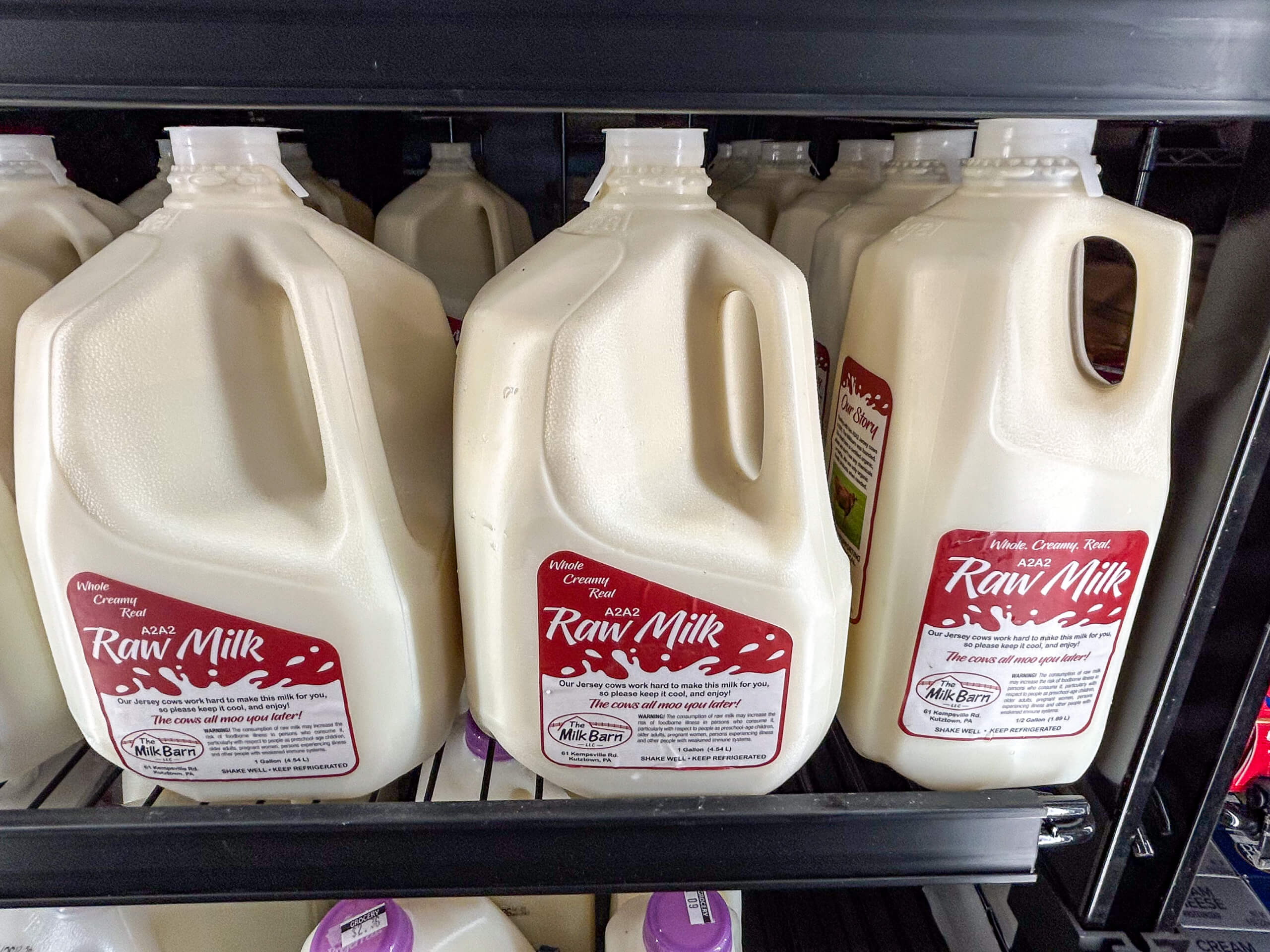 Jamar Groceries Kutztown PA Several gallon jugs of raw milk with red and white labels are displayed on a grocery store refrigerator shelf.