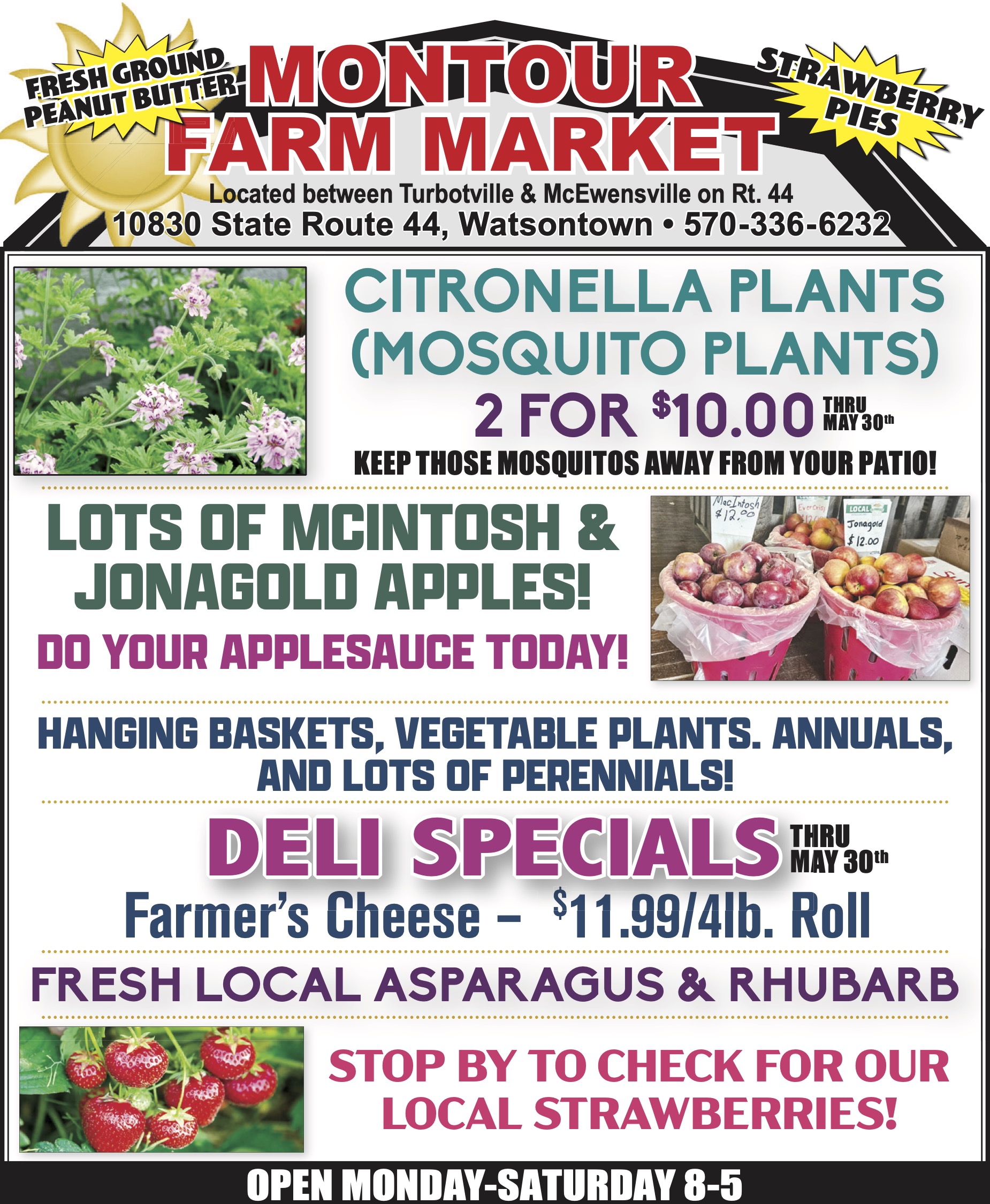 Colorful flyer advertising Montour Farm Market’s products and specials, including mosquito plants, apples, deli cheese, asparagus, rhubarb, and operating hours.