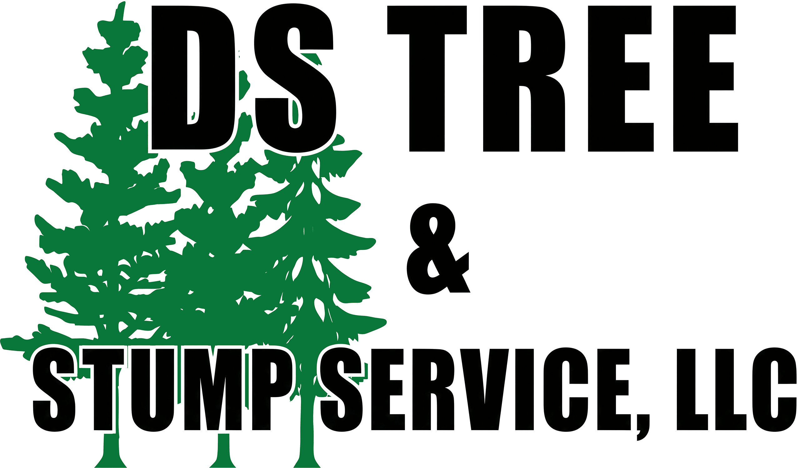 Logo with two green pine trees and bold black text reading "DS TREE & STUMP SERVICE, LLC" on a light background.