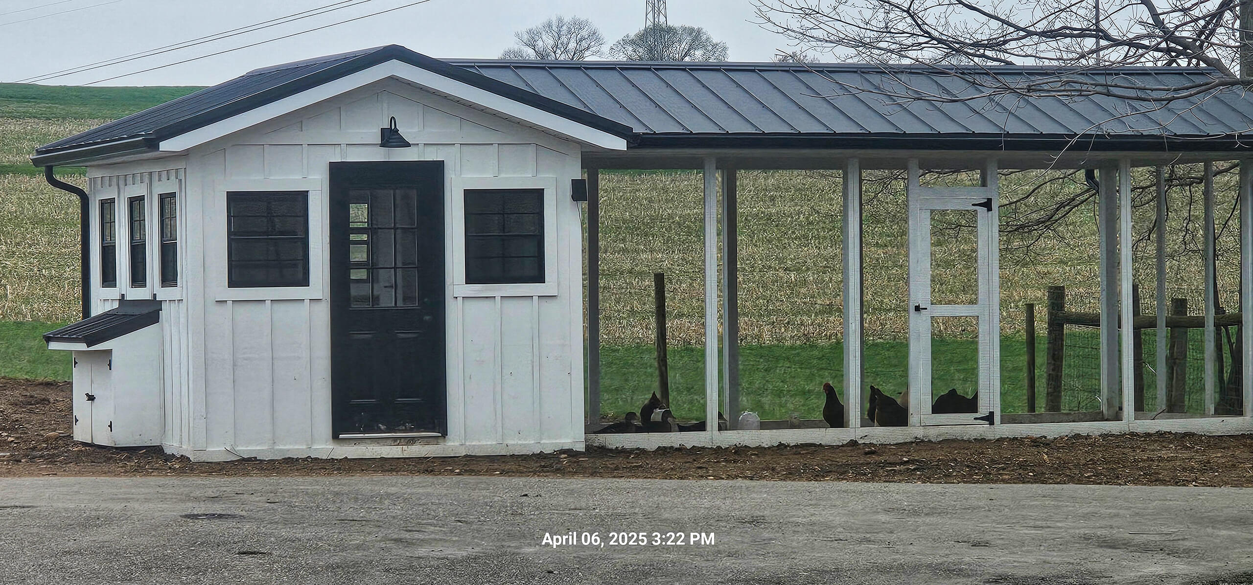 Nelson Weaver Metal Roofing Carrollton OH A white and black chicken coop with a fenced enclosure stands on a farm, with several chickens visible inside. The date and time stamp at the bottom reads, “April 06, 2023 3:22 PM.”.