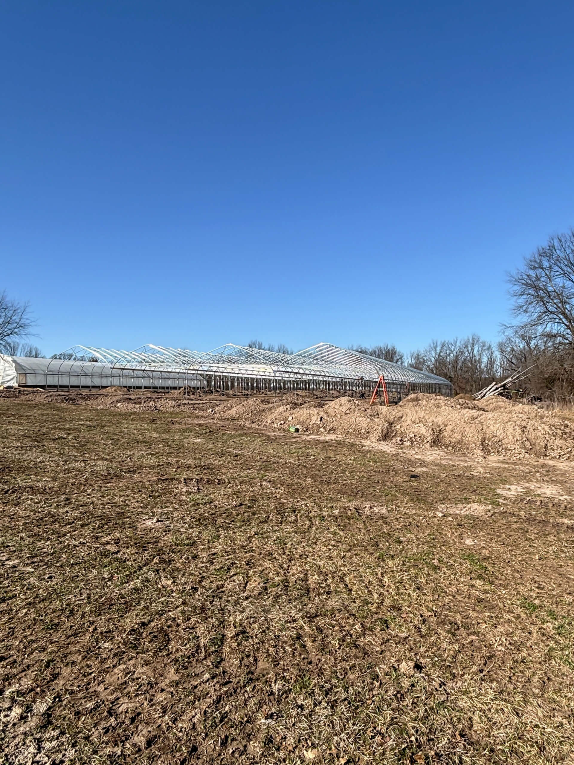 Sunny Crest Acres Versailles MO A partially constructed greenhouse frame sits on a patchy, grassy field under a clear blue sky, with leafless trees in the background.