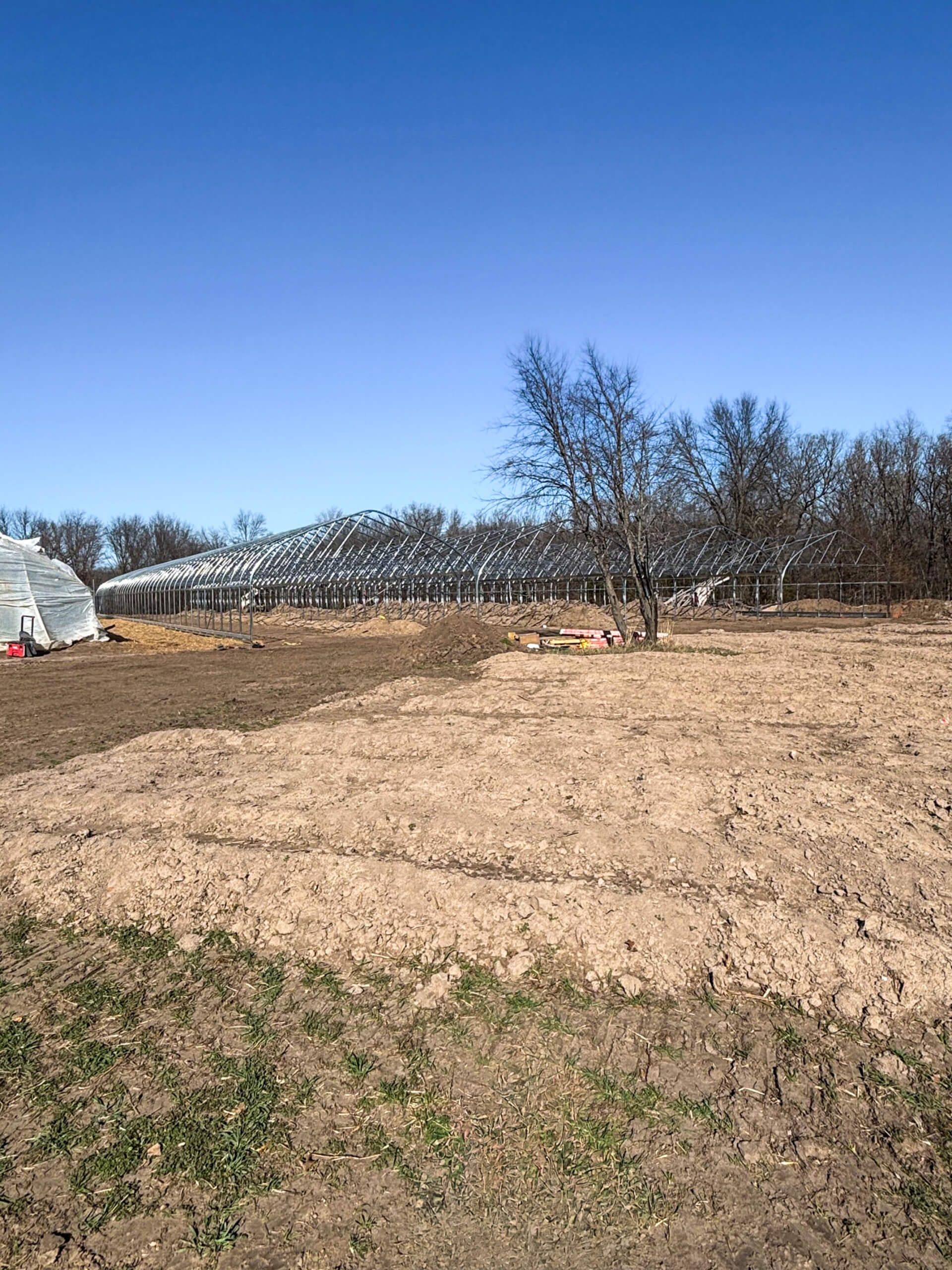 Sunny Crest Acres Versailles MO A mostly bare field with a partially constructed greenhouse frame, some trees in the background, and a clear blue sky overhead.