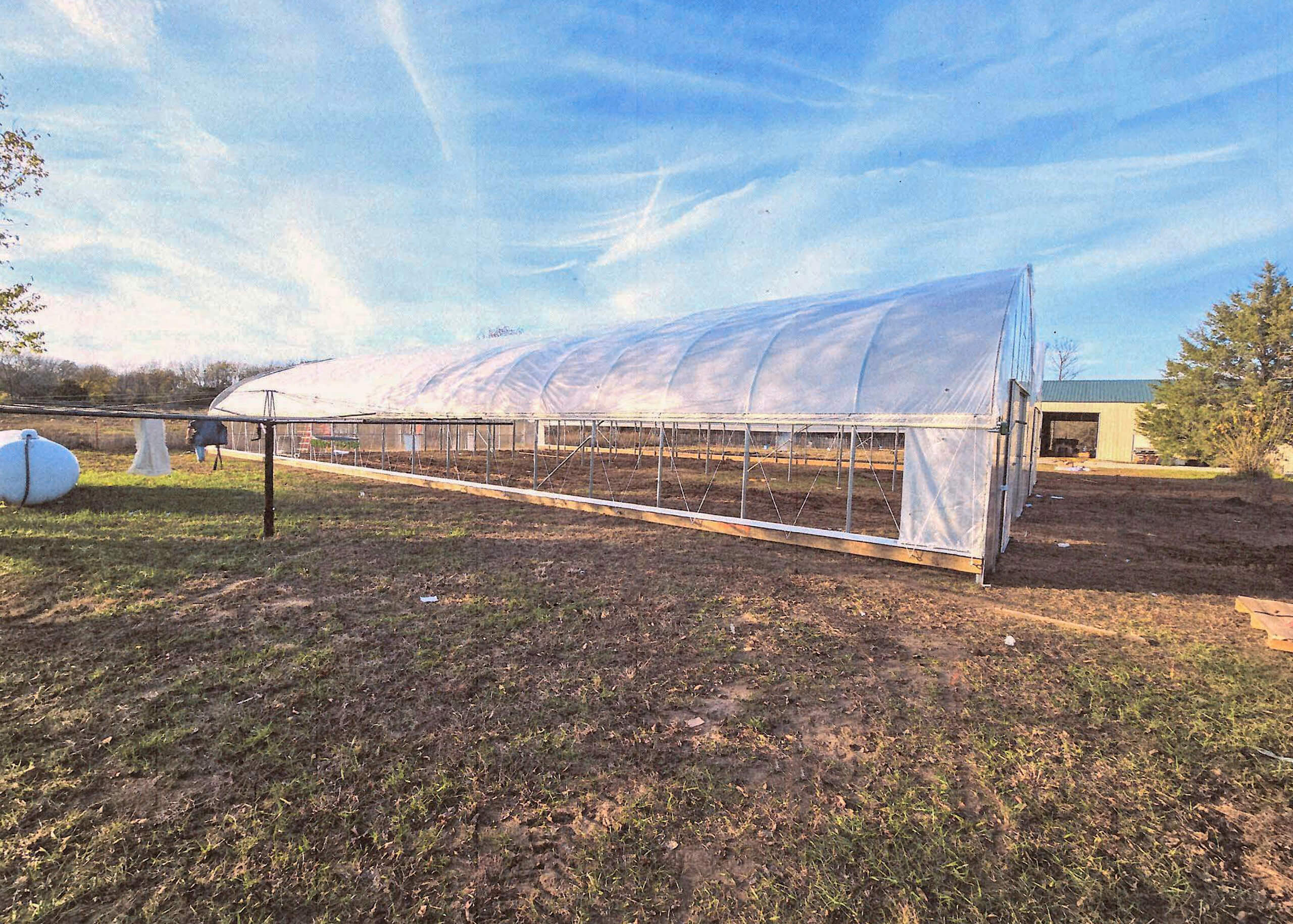 Sunny Crest Acres Versailles MO A large, white, plastic-covered greenhouse stands on a patch of bare soil with some grass, under a blue sky with wispy clouds.
