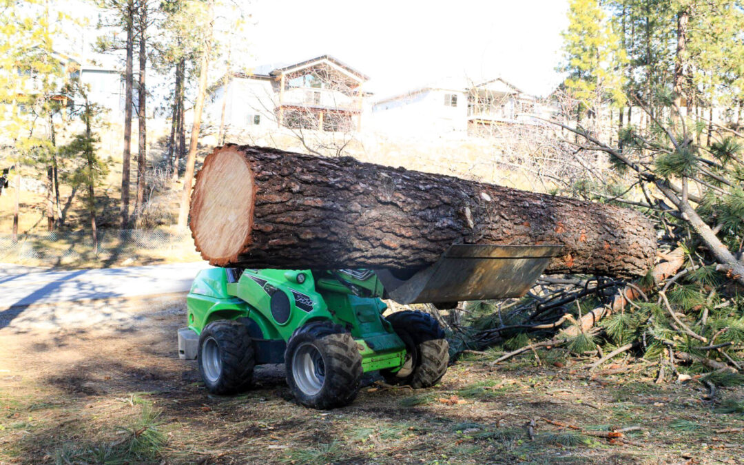 Treeco Tree Service Clayton, WA A small green loader lifts a large cut tree trunk outdoors, with houses and pine trees visible in the background.