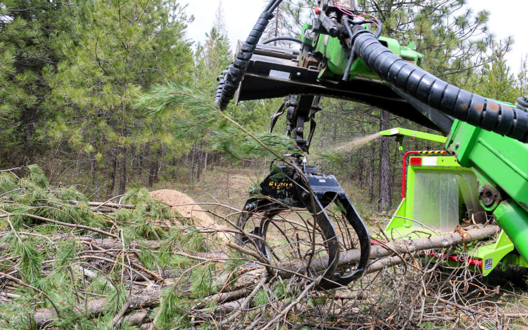 Treeco Tree Service Clayton, WA A forestry machine with a mechanical claw is grabbing tree branches and feeding them into a wood chipper in a forested area.