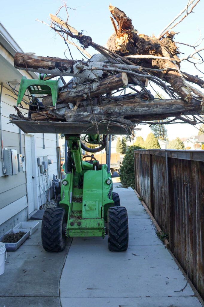 Treeco Tree Service Clayton, WA A green loader carries a large pile of tree branches and debris, including a broken green chair, down a narrow concrete driveway beside a house.