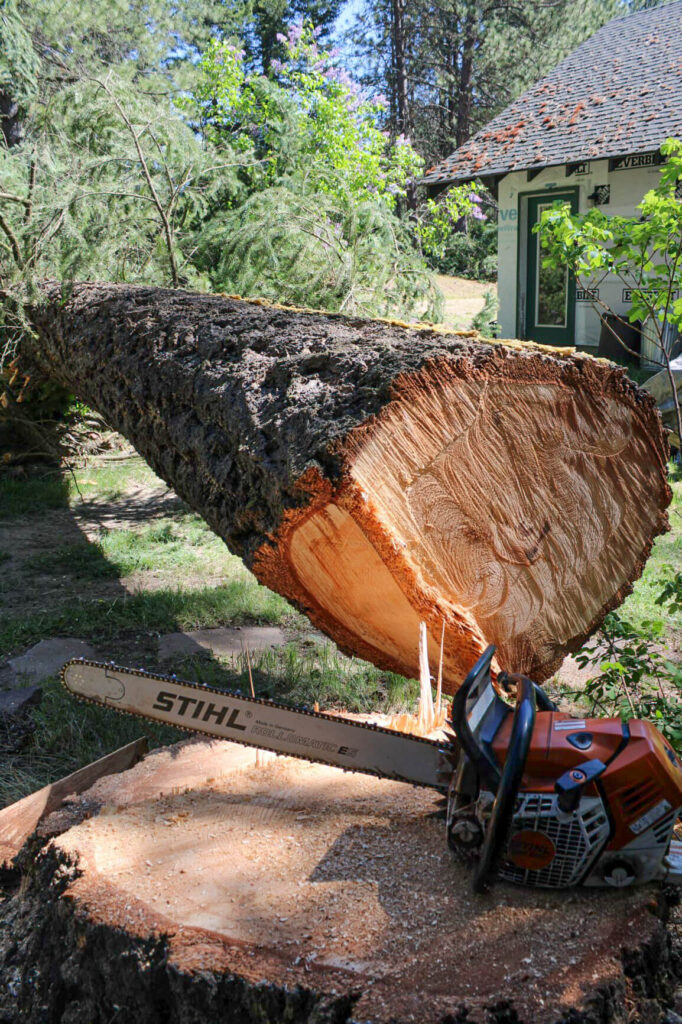 Treeco Tree Service Clayton, WA A large tree has been freshly cut down near a house, with a STIHL chainsaw resting on the remaining tree stump.