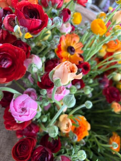 Swampy Hollow Greenhouse Gallery Cochranville, PA A close-up of a colorful bouquet featuring red, pink, peach, orange, and yellow flowers with green buds and stems.
