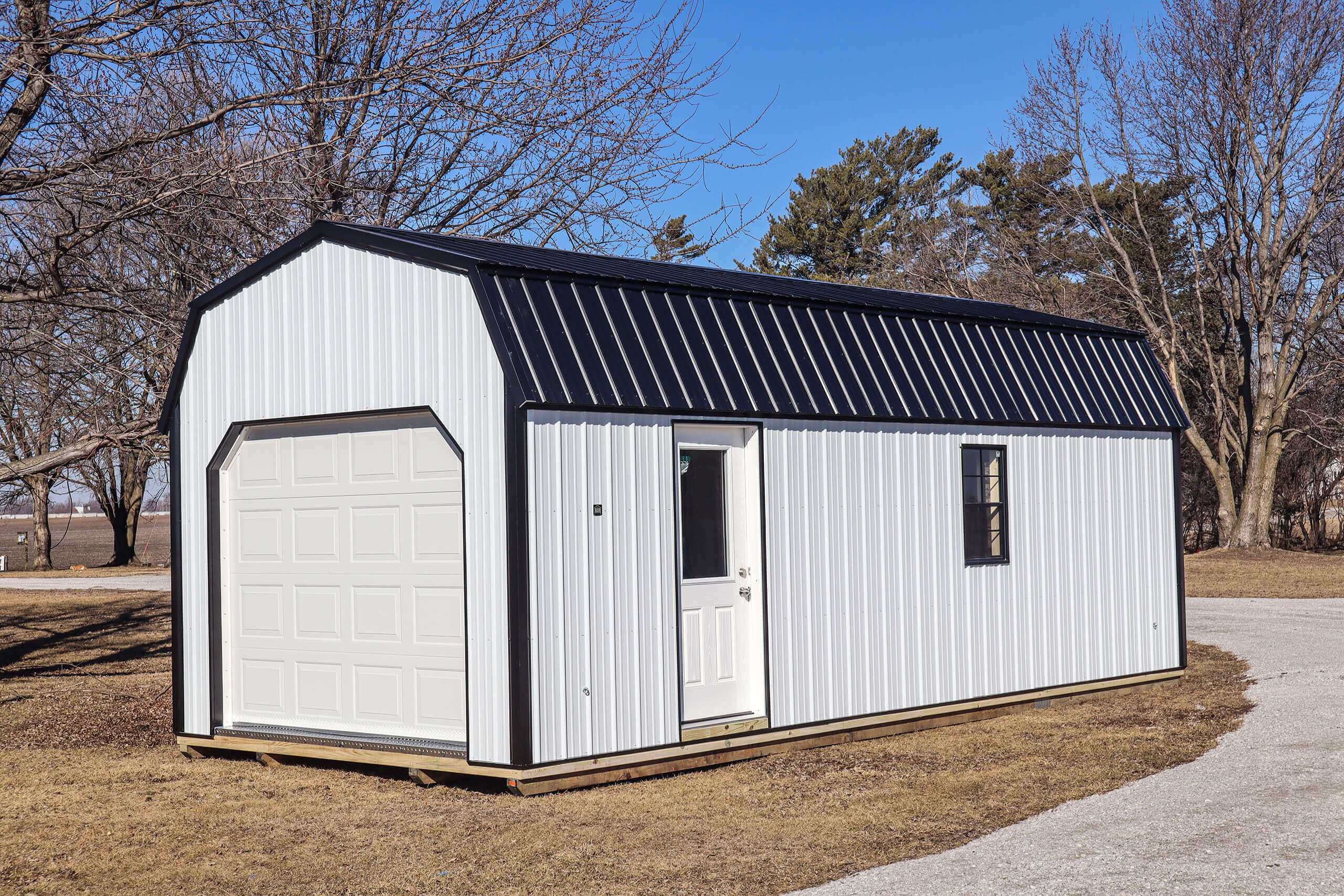 A small, white metal storage shed with a black roof, a garage door, a window, and a regular door, stands on a patch of brown grass near a gravel driveway.