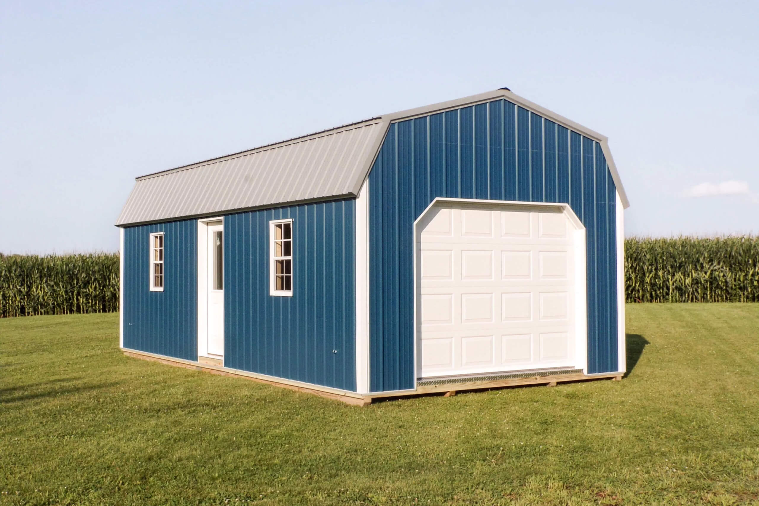 A blue barn-style shed with a white garage door and two windows sits on a grassy lawn with a cornfield in the background.