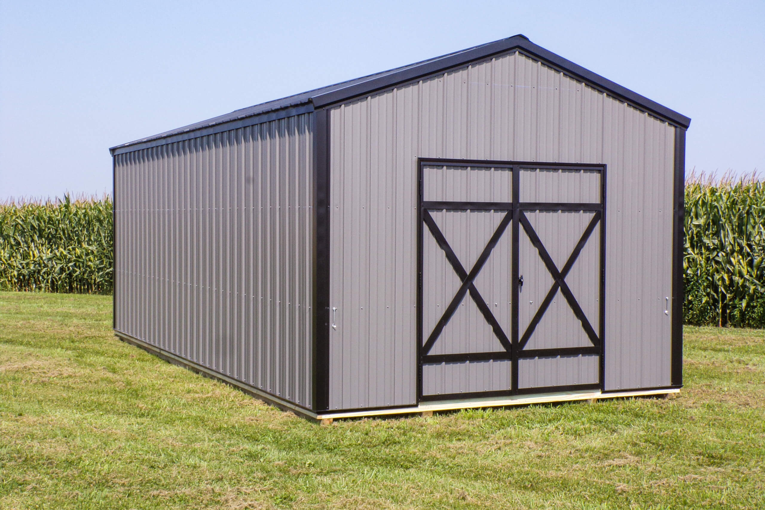 A gray metal storage shed with black trim sits on a grassy field near a cornfield under a clear sky.