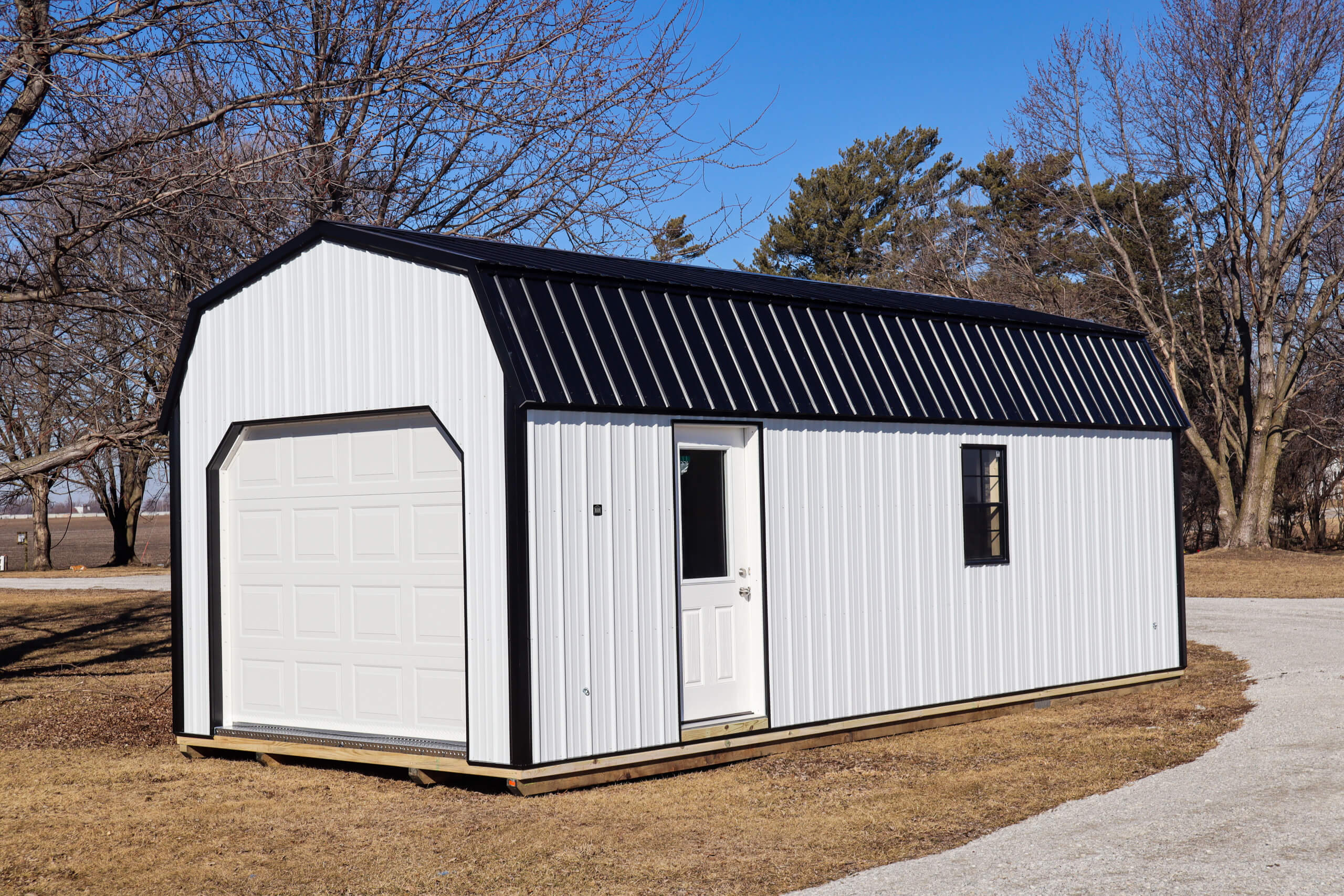 White metal shed with a black roof, garage door, single entry door, and window, situated on a lawn with bare trees and a clear blue sky.