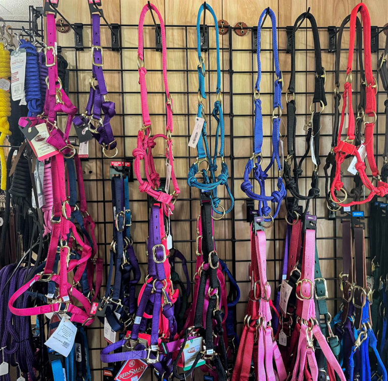 Penchem Tack Store Guthrie, KY Various colorful horse halters hang on a black grid wall display in a store, including pink, purple, blue, and teal options with metal hardware and attached tags.