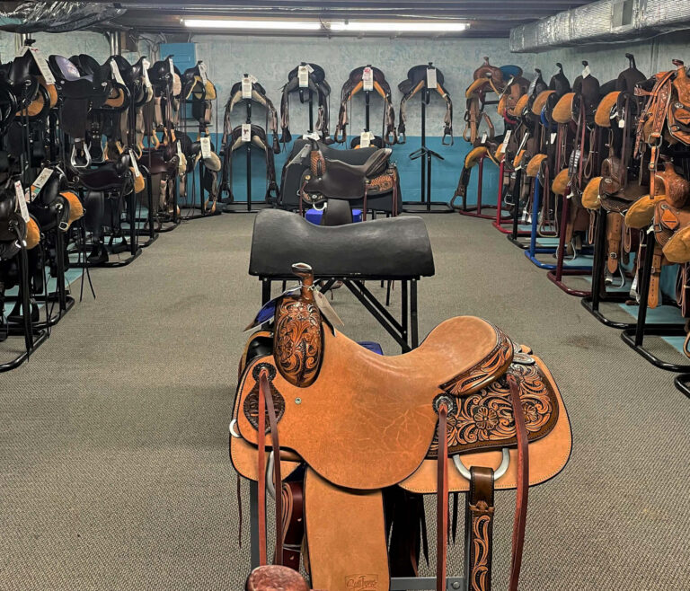 Penchem Tack Store Guthrie, KY Room with multiple saddles on stands arranged along the walls and center. The saddles vary in color and design. Fluorescent lighting illuminates the space. Carpeted floor.