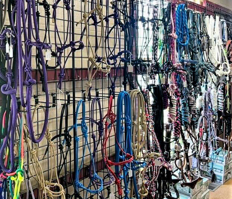 Penchem Tack Store Guthrie, KY Various horse halters and lead ropes in multiple colors are displayed hanging on a metal grid wall inside a tack or feed store.