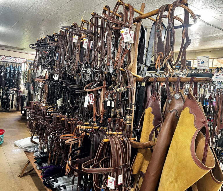 Penchem Tack Store Guthrie, KY Horse tack store display with numerous bridles, reins, and leather chaps hanging on wooden racks, surrounded by various equestrian gear.