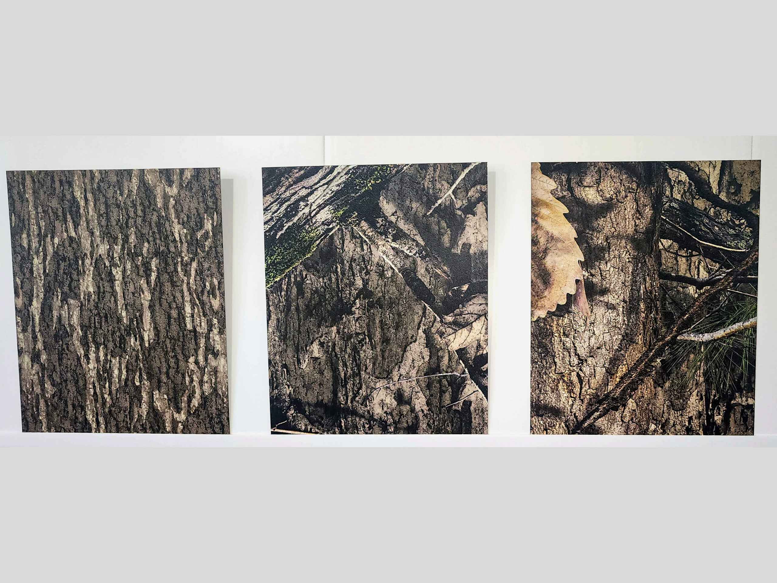 Sunset Metal Roofing and Siding Show Room Ebensburg, PA Three rectangular panels display photographic close-ups of tree bark and foliage, arranged side by side on a white wall.