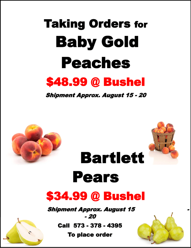 Flyer advertising Baby Gold peaches for $48.99 and Bartlett pears for $34.99 per bushel, with shipments around August 15-20 and a phone number to order.